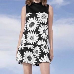 Victoria Beckham Dress Black Daisy Drop Waist S